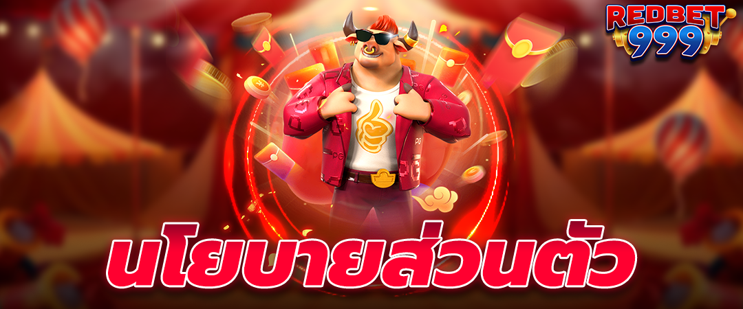 นโยบายส่วนตัว